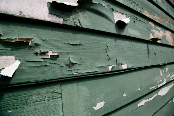 Best Weatherproofing and Sealing  in Ladysmith, WI