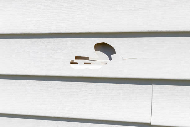 Storm Damage Siding Repair in Ladysmith, WI