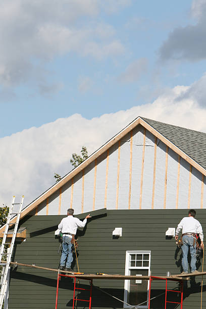 Best Storm Damage Siding Repair  in Ladysmith, WI