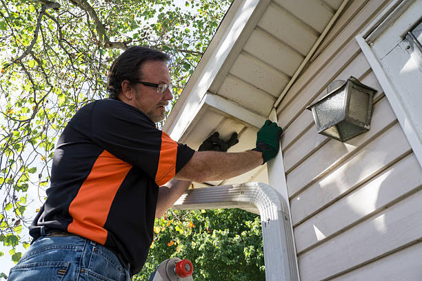 Trusted Ladysmith, WI Siding Installation & Repair Experts